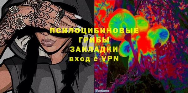 прущие грибы Абдулино