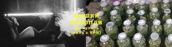 прущие грибы Абдулино