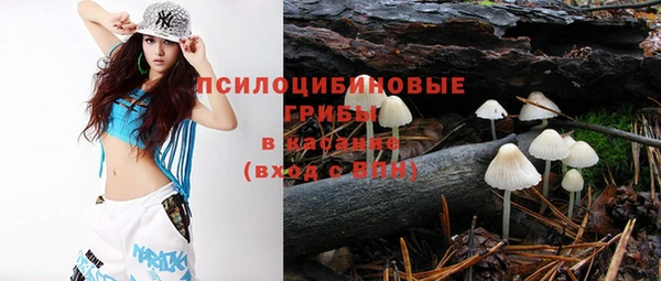 прущие грибы Абдулино