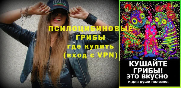 амф Абинск
