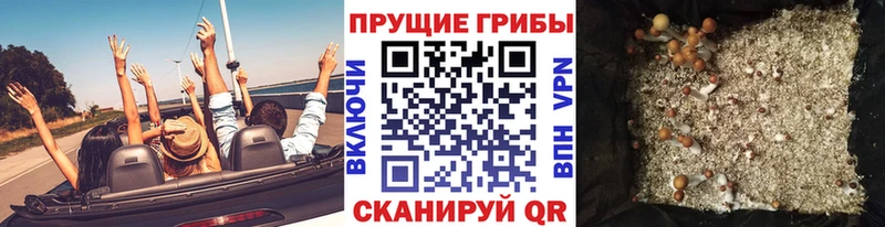 Галлюциногенные грибы Psilocybe  это телеграм  Новотроицк 